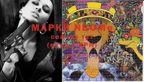шишки Волосово