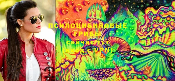 шишки Волосово